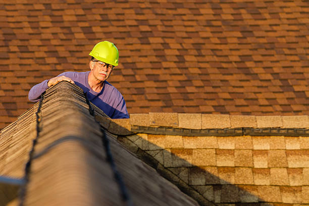 Best Roof Repair Services  in Schriever, LA